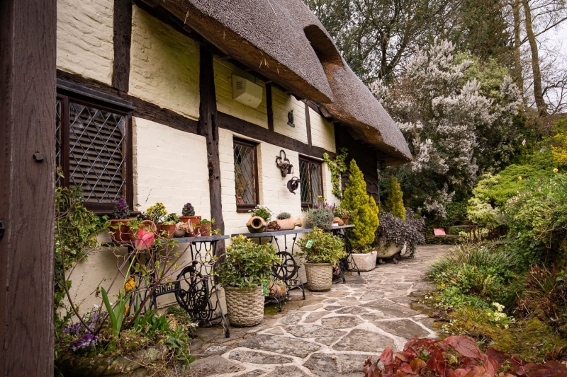 Old Thatch & The Millennium Barn